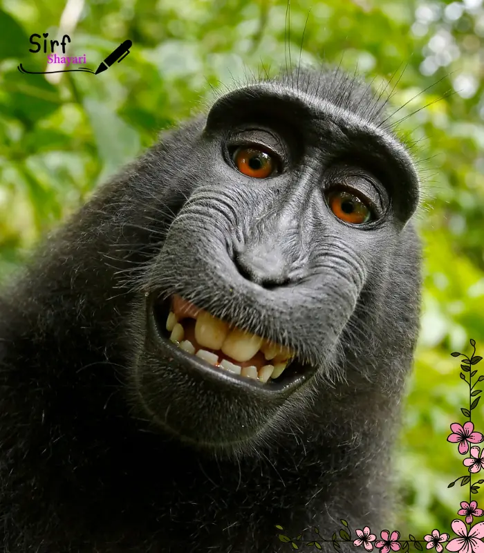 Double Meaning Shayari in English