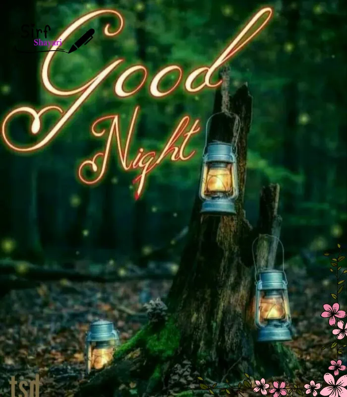 Good Night Shayari Bangla