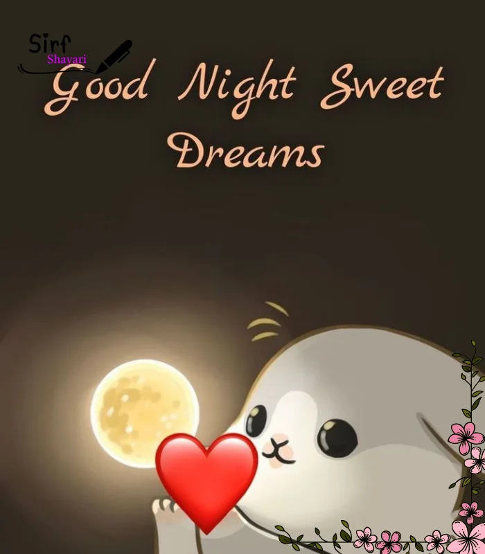 Good Night Shayari Love
