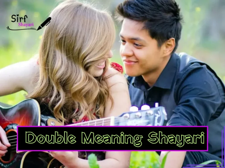 New Double Meaning Shayari