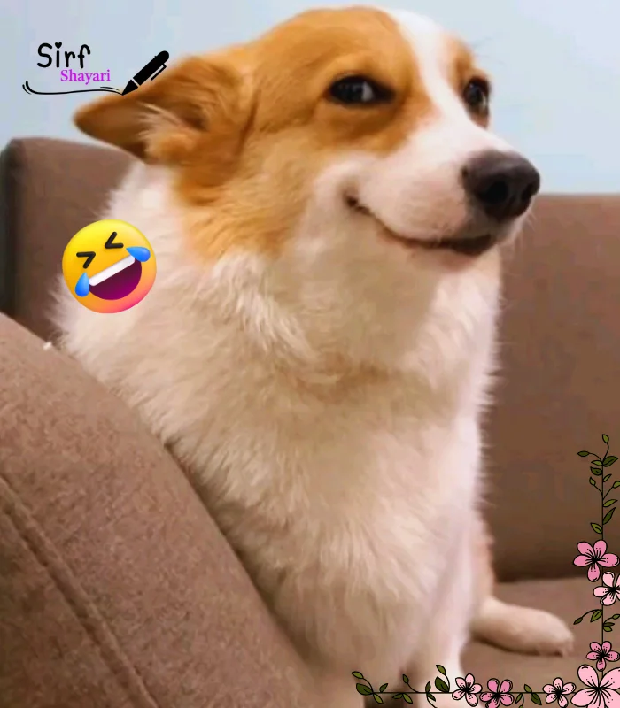 Funny Shayari for Girls